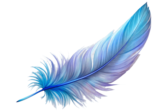 Close Up on Feather Png Isolated: High-Quality Design Assets