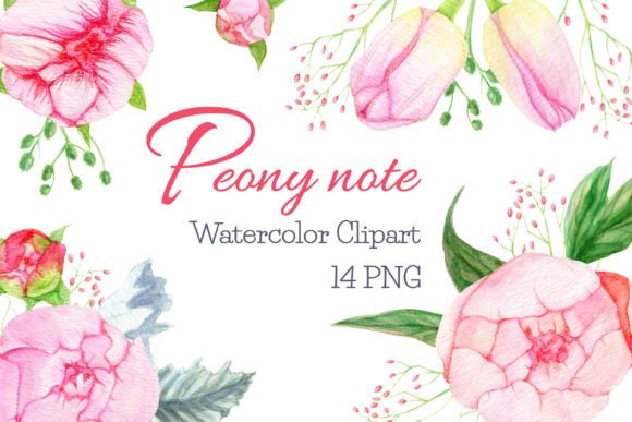 Watercolor Peonies Clipart Florals Peony: A Designer's Toolkit